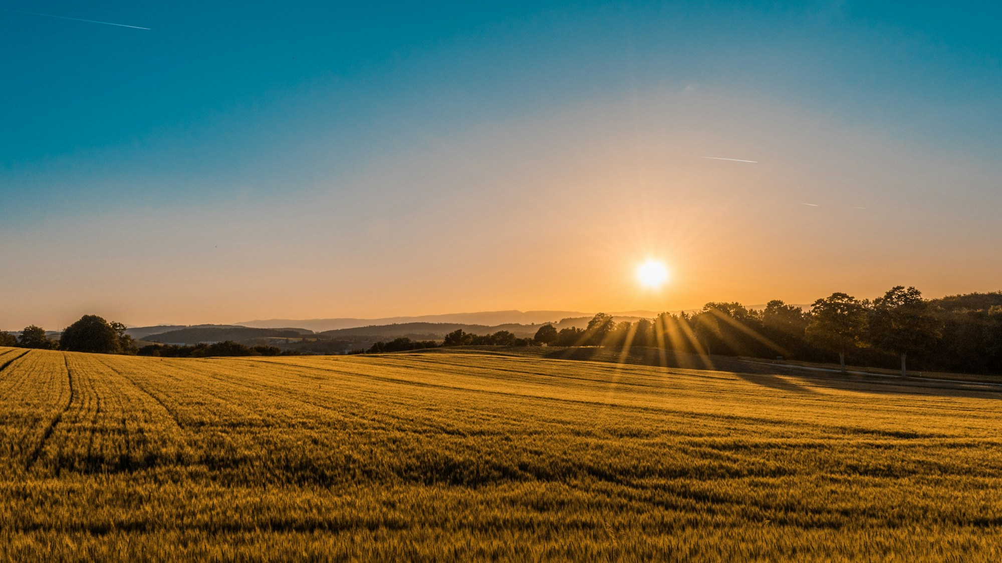 Environmental stewardship and compliance
